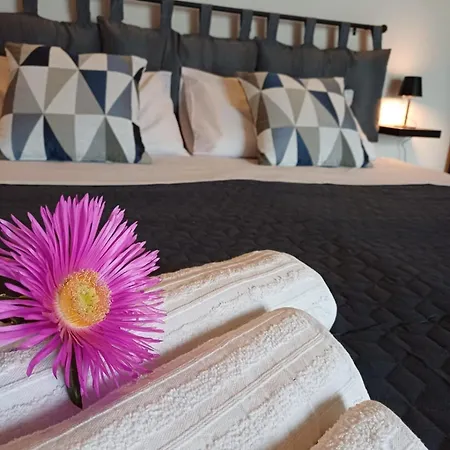 Due Palme Nello Stagnone Guest house