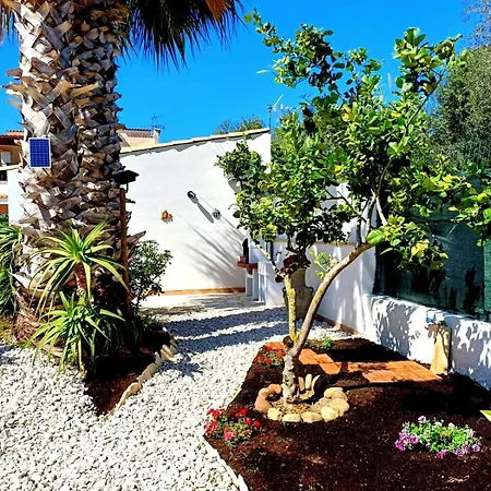 Due Palme Nello Stagnone