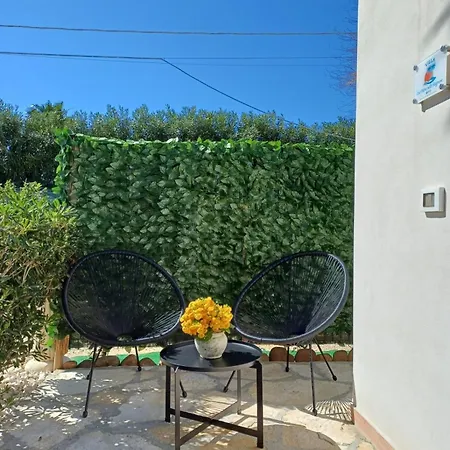 Due Palme Nello Stagnone